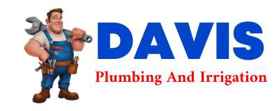 Trusted plumber in VOSS